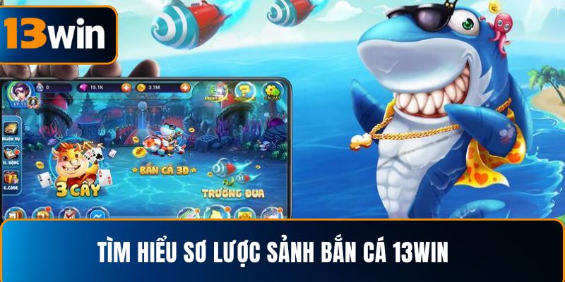 Tìm hiểu sơ lược sảnh bắn cá 13WIN