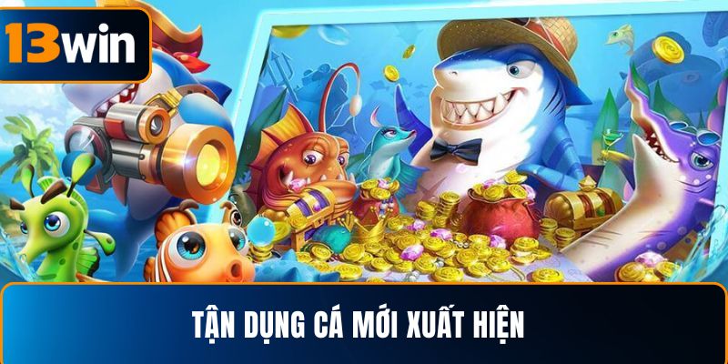 Tận dụng cá mới xuất hiện