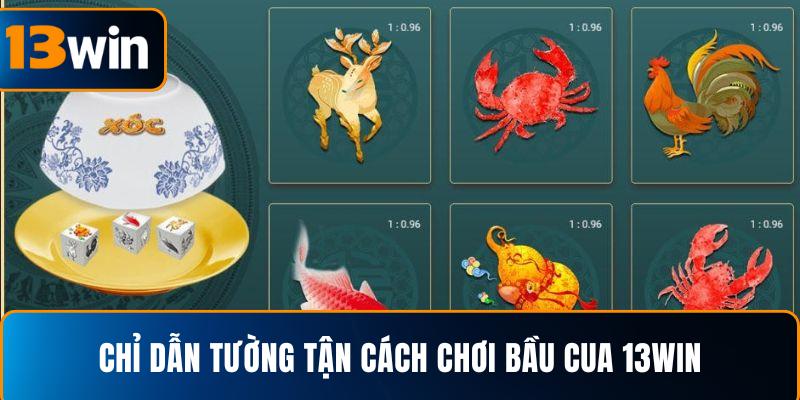  Chỉ dẫn tường tận cách chơi bầu cua 13WIN